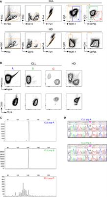 Mass cytometry analysis reveals attrition of naïve and anergized self-reactive non-malignant B cells in chronic lymphocytic leukemia patients